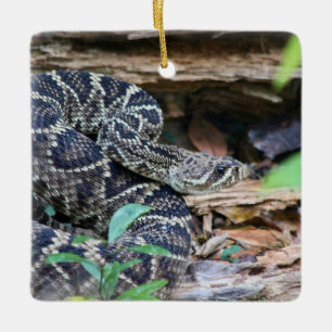 Rattlesnake In The Wild Ceramic Ornament