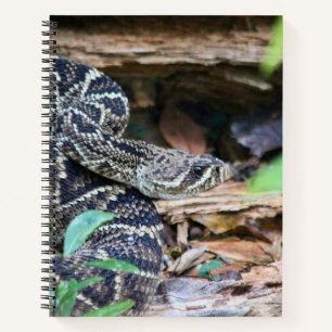 Rattlesnake In The Wild Notebook