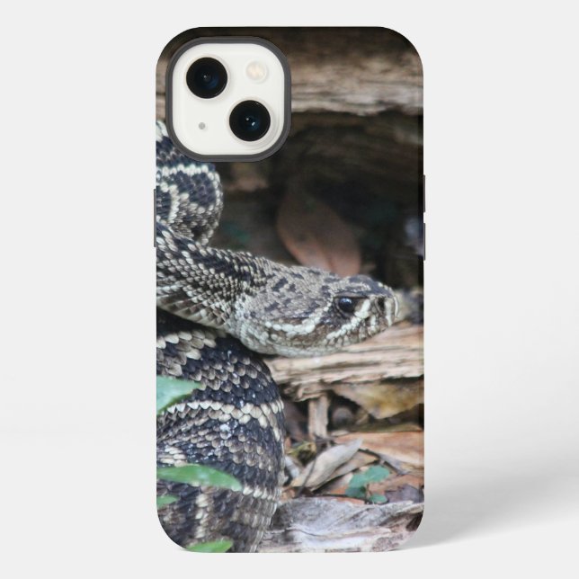 Rattlesnake iPhone Cases (Back)
