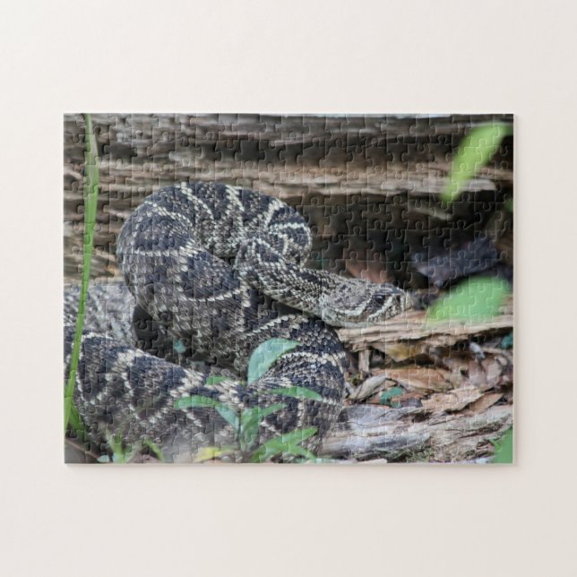 Rattlesnake Jigsaw Puzzle (Horizontal)