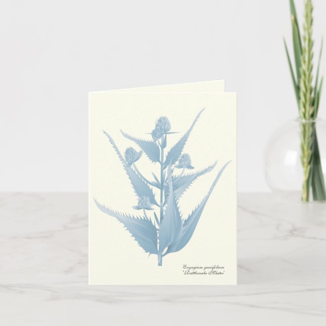 Rattlesnake Master Prairie Plant Note Card (Front)