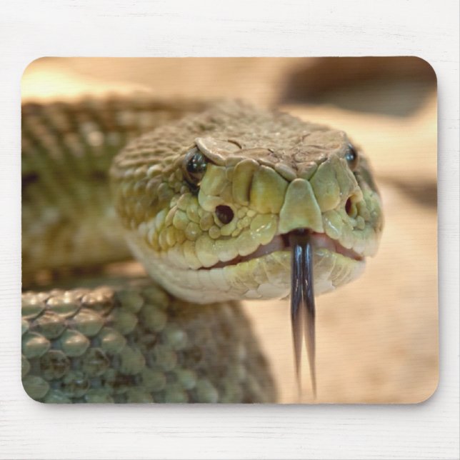 Rattlesnake Mouse Pad (Front)