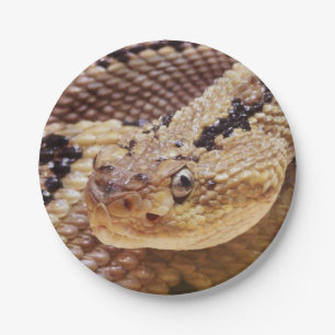 Rattlesnake Paper Party Plates