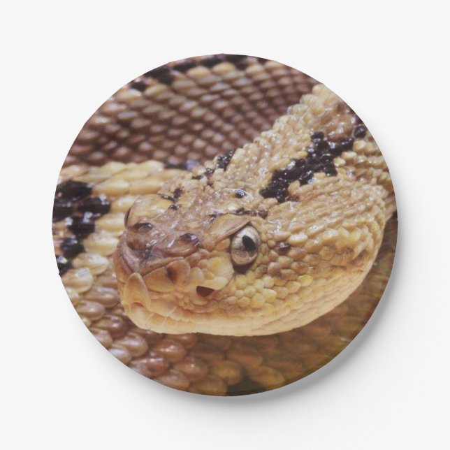 Rattlesnake Paper Party Plates (Front)