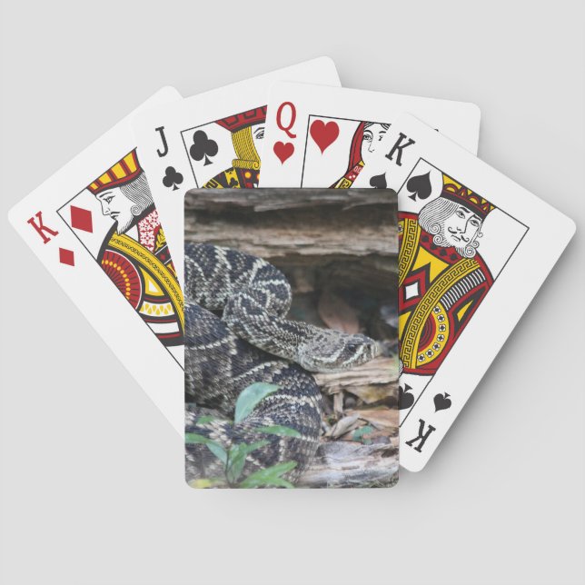 Rattlesnake Playing Cards (Back)