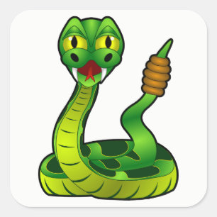 Rattlesnake Square Sticker