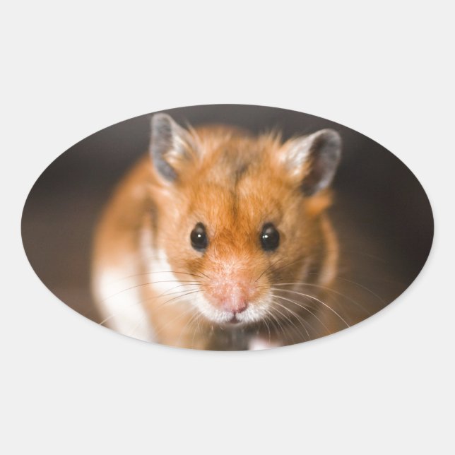 Ratty the hamster oval sticker (Front)