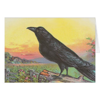 Raven