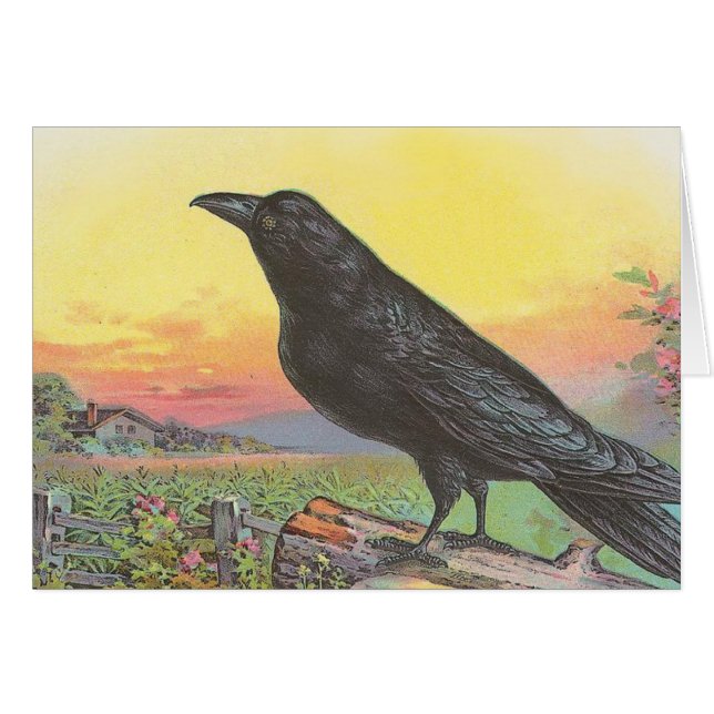 Raven (Front Horizontal)