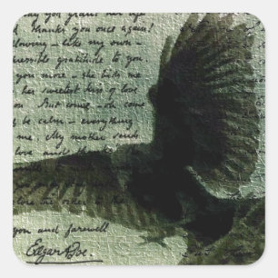 Raven 3 square sticker