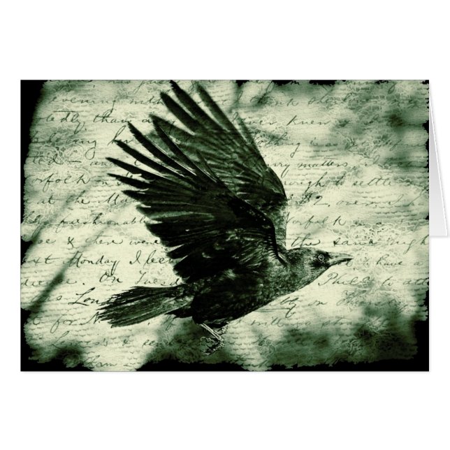 Raven 9 (Front Horizontal)