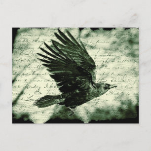 Raven 9 postcard