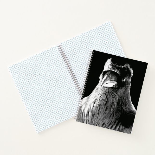 Raven Art Notebook Crow Art Journal Book (Inside)