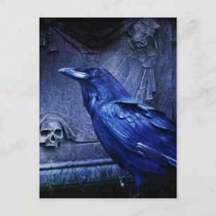 Raven At Tombstone Postcard