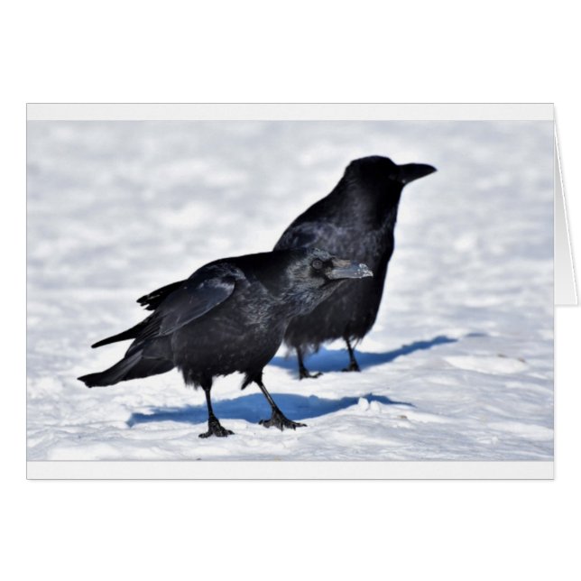 Raven Card (Front Horizontal)