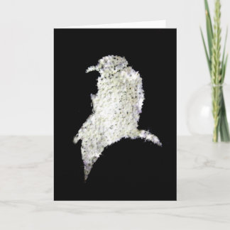 Raven Card