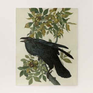 Raven (Common Raven) from Audubon Birds of America Jigsaw Puzzle