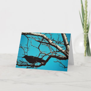 Raven Crow Black Bird Silver Tree Blue Sky Photo Card