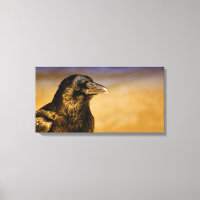 Raven Crow Gothic Fantasy Black Bird Nature
