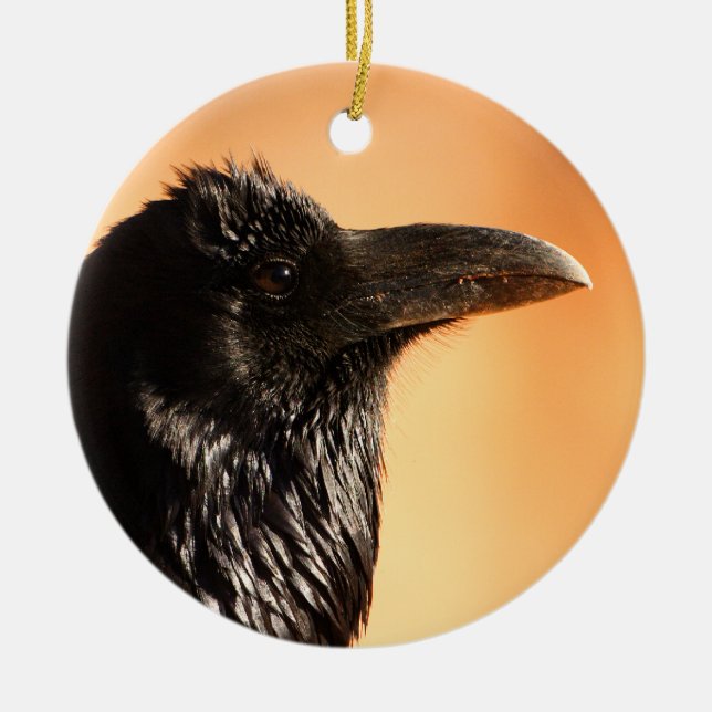 raven face ceramic tree decoration (Front)