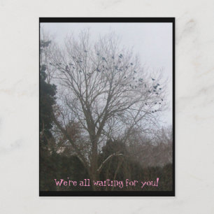 raven friends postcard