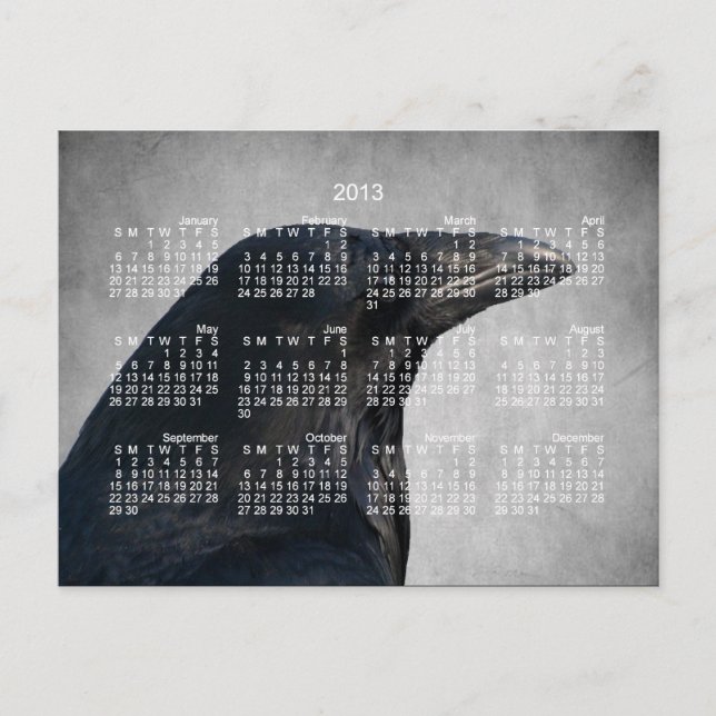 Raven Glamour Shot; 2013 Calendar Postcard (Front)