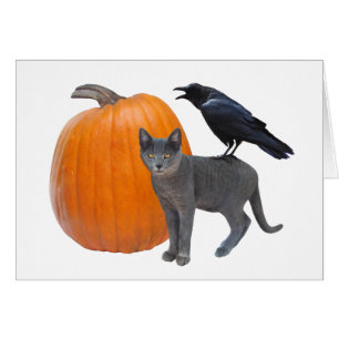 Raven, Grey Cat with Pumpkin Halloween Card