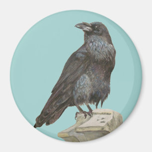 Raven Magnet