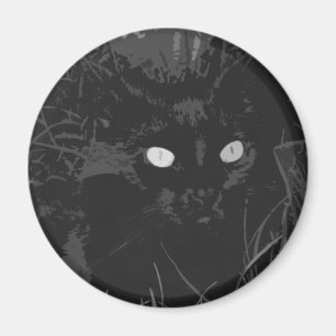 raven magnet