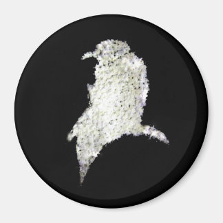 Raven Magnet
