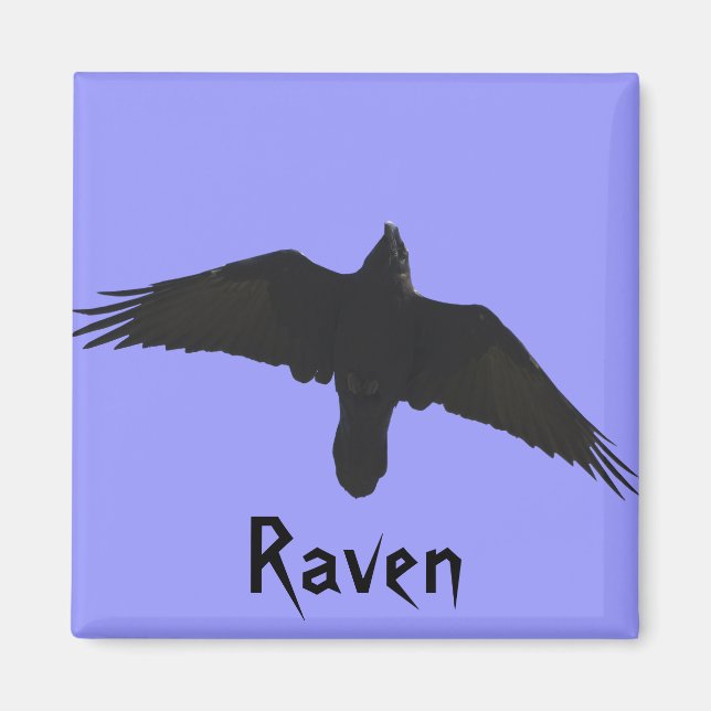 Raven Magnets (Front)