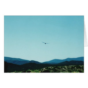 Raven Mountains card