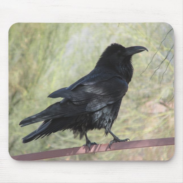 Raven Mousepad (Front)