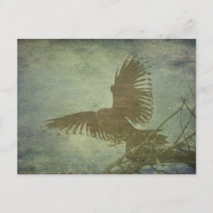 Raven of Poe's Poetry Postcard