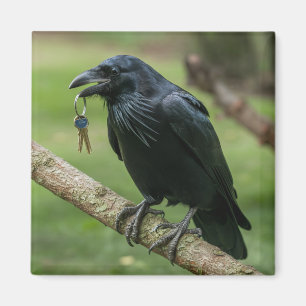Raven on a Branch with Key Magnet