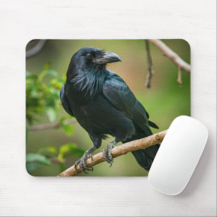 Raven on a Tree Branch Mouse Pad