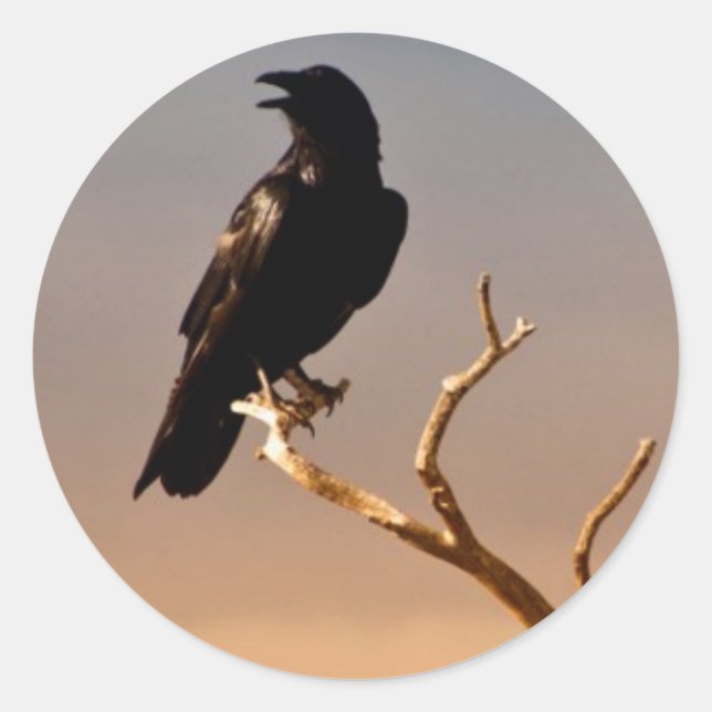 Raven on Sunlit Tree Branches, Grand Canyon Classic Round Sticker (Front)