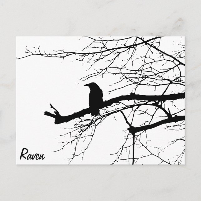 Raven on the Tree Postcard (Front)
