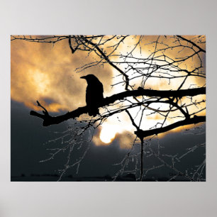 Raven on the Tree Poster