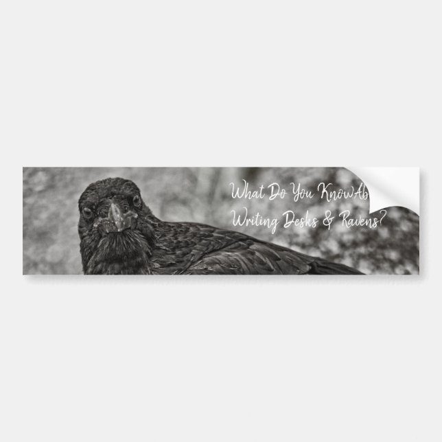 Raven P9239 Bumper Sticker (Front)
