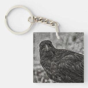 Raven P9239 Key Ring