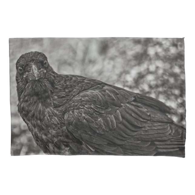 Raven P9239 Pillowcase (Front-Left)