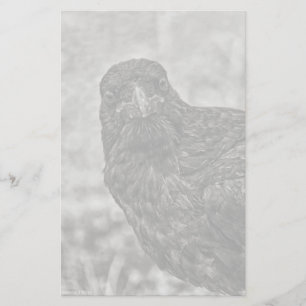 Raven P9239 Stationery