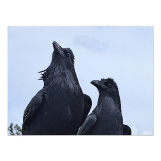 Raven Photo Print