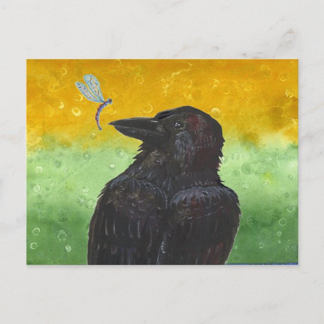 Raven Ponders Postcard (Front)