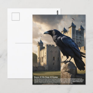 Raven Postcard