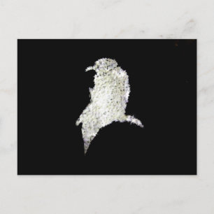 Raven Postcard