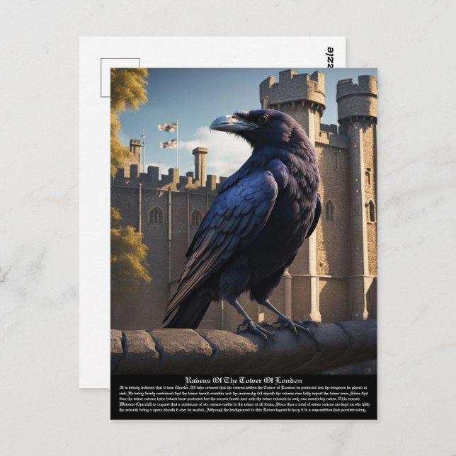 Raven Postcard (Front/Back)
