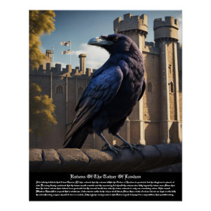Raven Poster