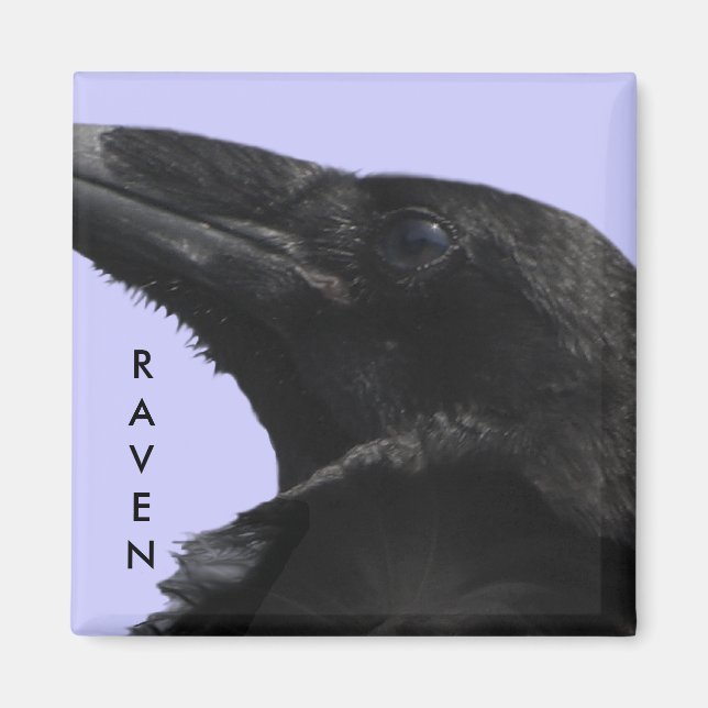Raven Profile Magnet (Front)